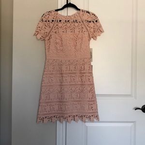Eliza J Pink Lace Mini Dress